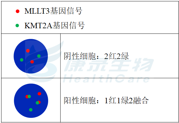 中国·拉斯维加斯(3499·官方认证)网站-Officialwebsite